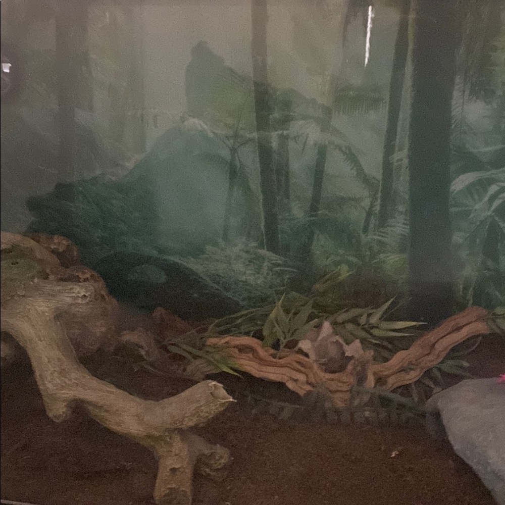 Brown and Tan Reptile Habitat Decor